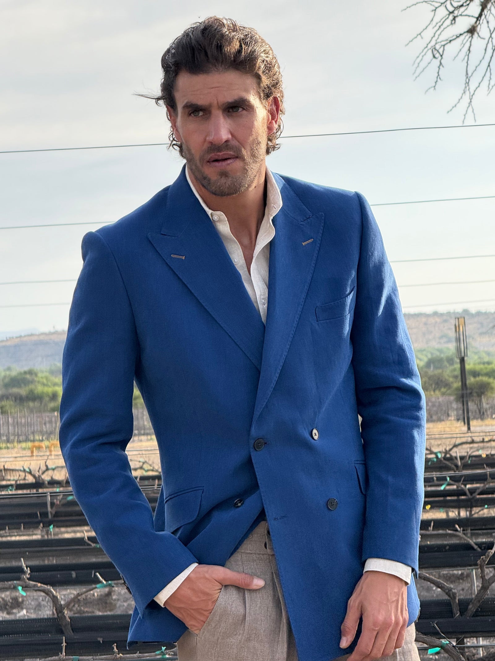 GUIA DE VERANO: MORERA GROSSO